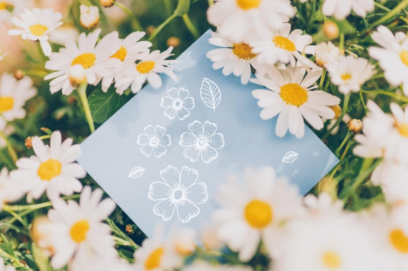 Arrietty DIY Flowers Leaves Stamp Rubber Clear Stamp/Seal Scrapbook Decorative Card Making Clear Stamps - Image 5